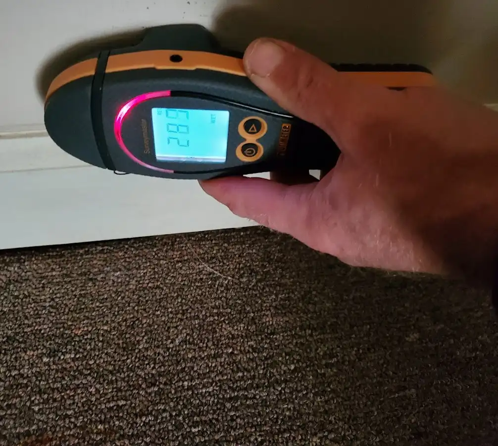 Moisture detection at baseboard during Burst Pipe Cleanup in Marple